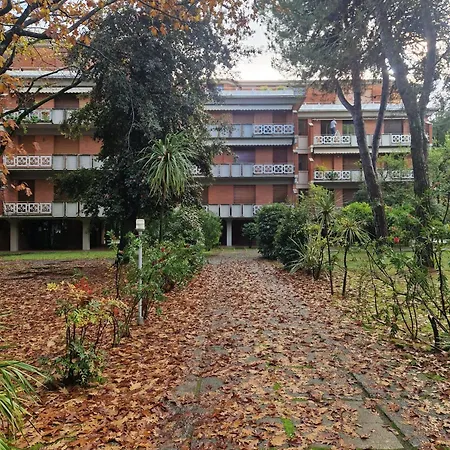 Lorimare